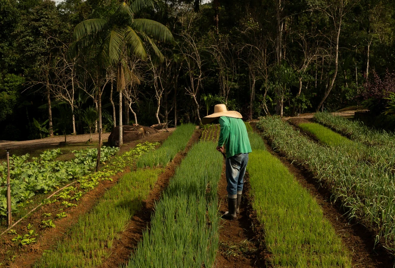 SUSTAINABLEAGRICULTURAL PRODUCTION&nbsp;&nbsp;