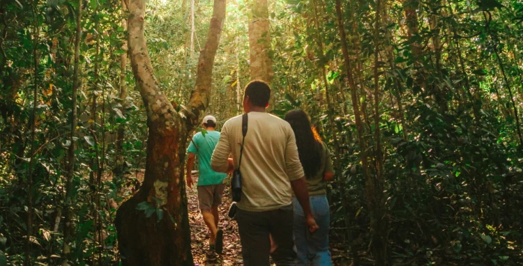 RPPN River of Brasil