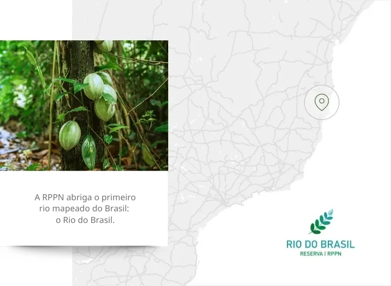 Área RPPN Rio do Brasil