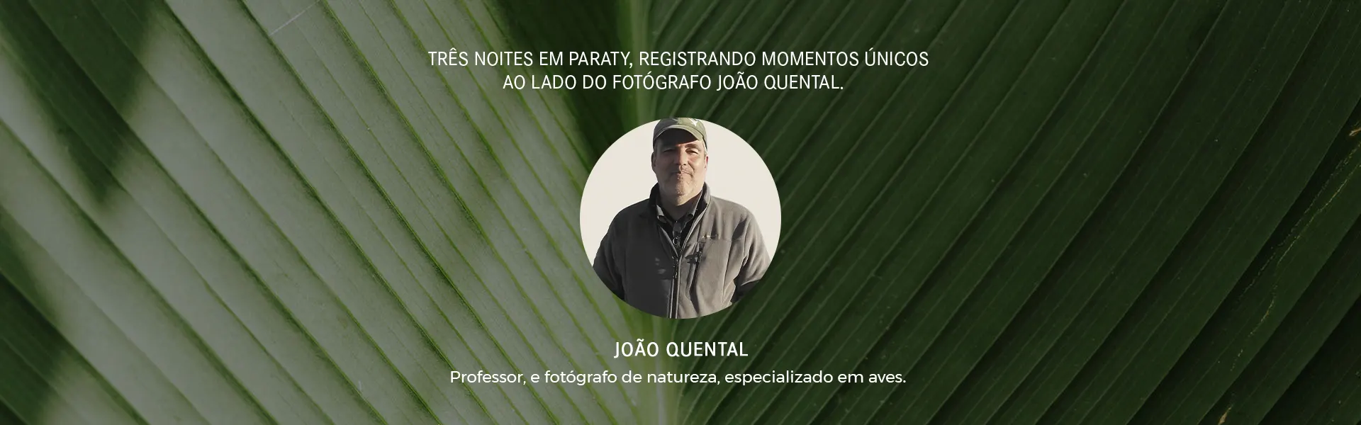 João Quental