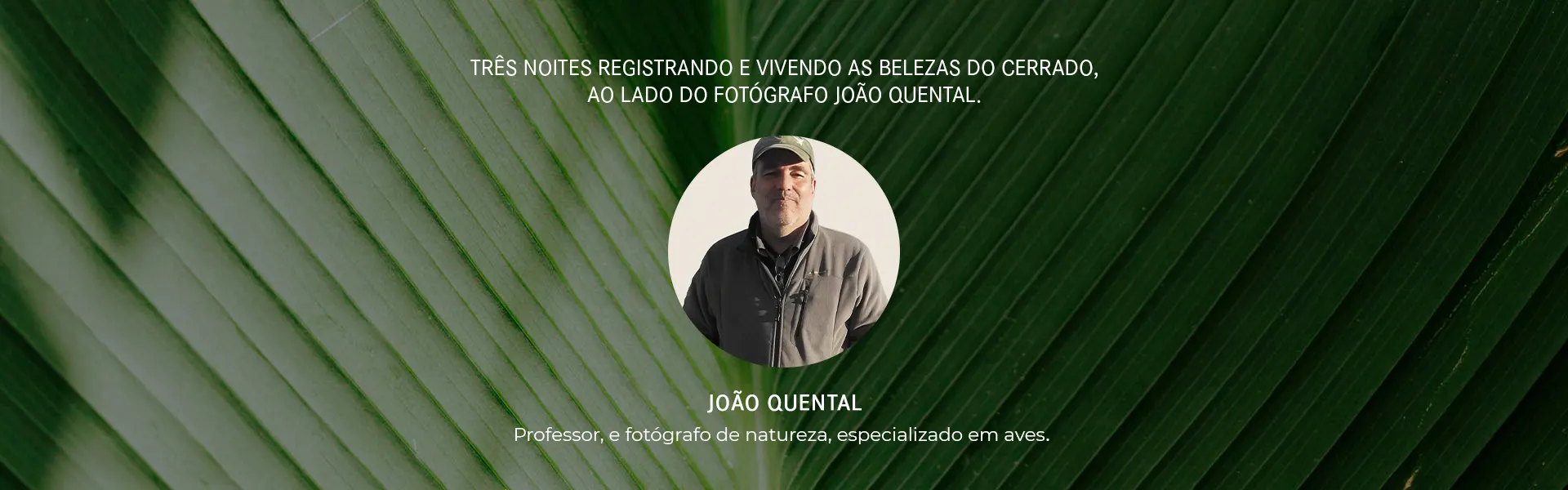 João Quental